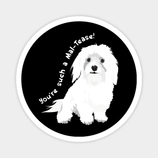 You're a Tease! : Maltese Edition Magnet